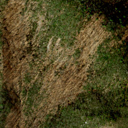 Satellite imagery of Alligator Back, US