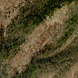 Satellite imagery of Scott Ridge, US