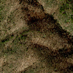 Satellite imagery of Scott Ridge, US