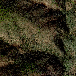 Satellite imagery of Scott Ridge, US