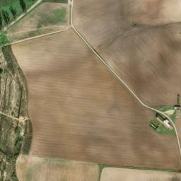 Satellite imagery of survey_point, DZ