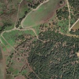 Satellite imagery of survey_point, DZ