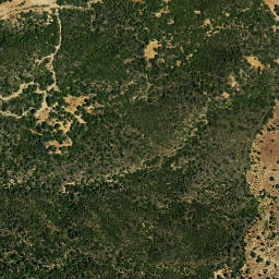 Satellite imagery of survey_point, DZ