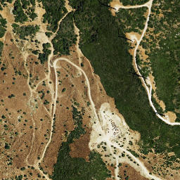Satellite imagery of survey_point, DZ