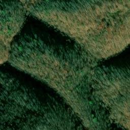Satellite imagery of Cove Ridge, US