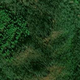 Satellite imagery of Big Arm, US