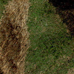Satellite imagery of Bluff Ridge, US