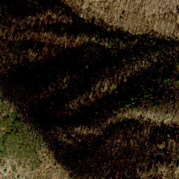 Satellite imagery of Bluff Ridge, US