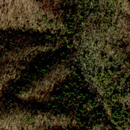 Satellite imagery of Bluff Ridge, US
