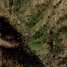 Satellite imagery of Scott Ridge, US