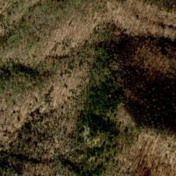 Satellite imagery of Scott Ridge, US