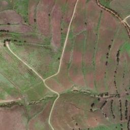 Satellite imagery of survey_point, DZ