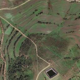 Satellite imagery of survey_point, DZ