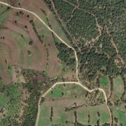 Satellite imagery of survey_point, DZ
