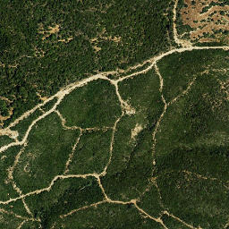 Satellite imagery of survey_point, DZ