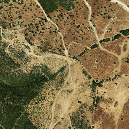 Satellite imagery of survey_point, DZ