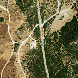 Satellite imagery of survey_point, DZ