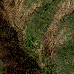 Satellite imagery of Bluff Ridge, US