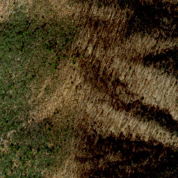Satellite imagery of Bluff Ridge, US