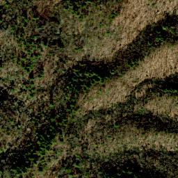 Satellite imagery of Cedar Ridge, US