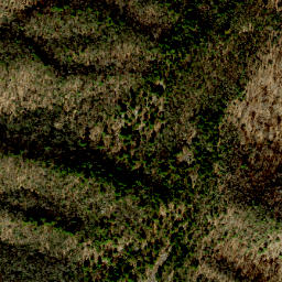 Satellite imagery of Cedar Ridge, US