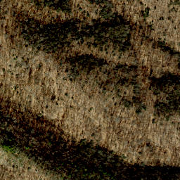 Satellite imagery of Cedar Ridge, US