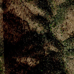 Satellite imagery of Scott Ridge, US