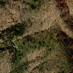 Satellite imagery of Scott Ridge, US