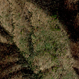 Satellite imagery of Scott Ridge, US