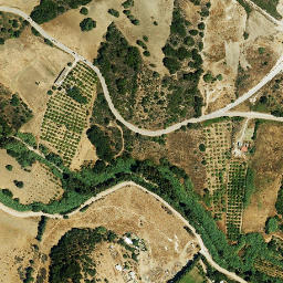 Satellite imagery of survey_point, DZ