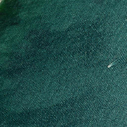Satellite imagery of survey_point, DZ