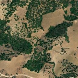 Satellite imagery of Kef Bou Dib, DZ