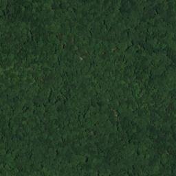 Satellite imagery of Pace Point, US