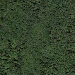 Satellite imagery of Brown Ridge, US