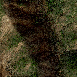 Satellite imagery of Bluff Ridge, US