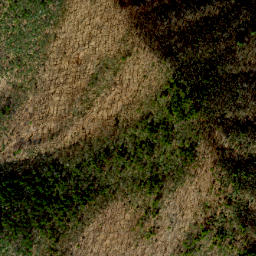 Satellite imagery of Bluff Ridge, US