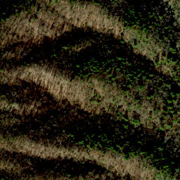 Satellite imagery of Bluff Ridge, US