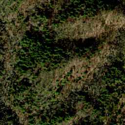 Satellite imagery of Cedar Ridge, US