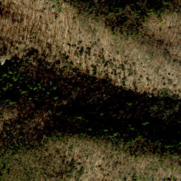 Satellite imagery of Cedar Ridge, US