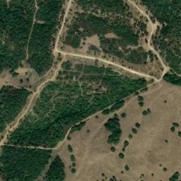 Satellite imagery of survey_point, DZ