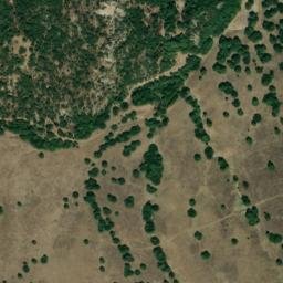 Satellite imagery of survey_point, DZ