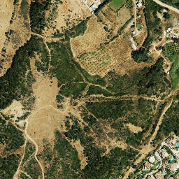 Satellite imagery of survey_point, DZ