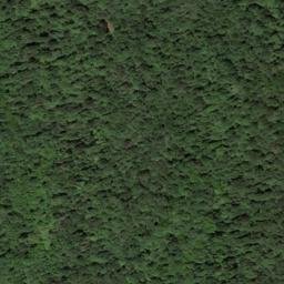 Satellite imagery of Brown Ridge, US