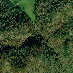 Satellite imagery of Sycamore Knobs, US