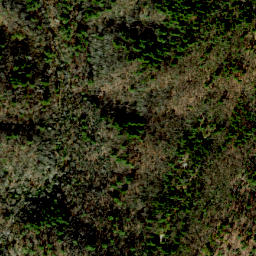 Satellite imagery of Cedar Ridge, US