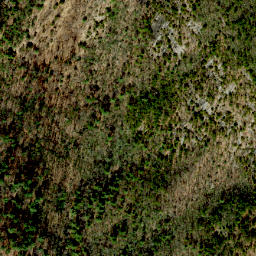 Satellite imagery of Cedar Ridge, US