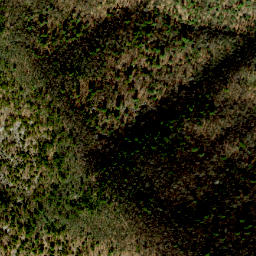 Satellite imagery of Cedar Ridge, US
