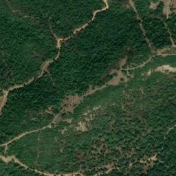 Satellite imagery of survey_point, DZ