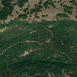Satellite imagery of survey_point, DZ
