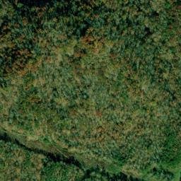 Satellite imagery of Sycamore Knobs, US